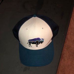 Patagonia Hat
